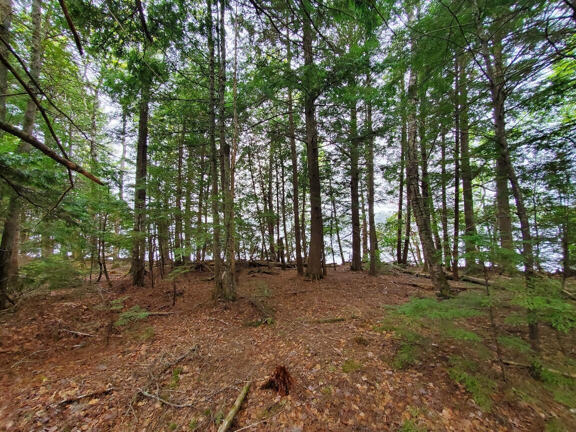 0 Blackcat Point Drive Princeton ME 04668