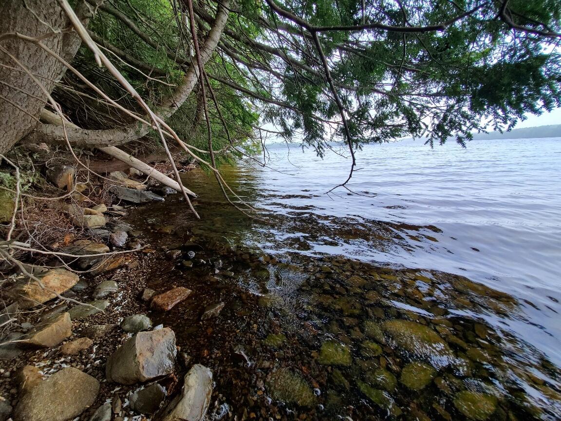 0 Blackcat Point Drive Princeton ME 04668