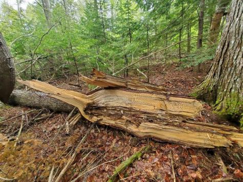 0 Blackcat Point Drive Princeton ME 04668