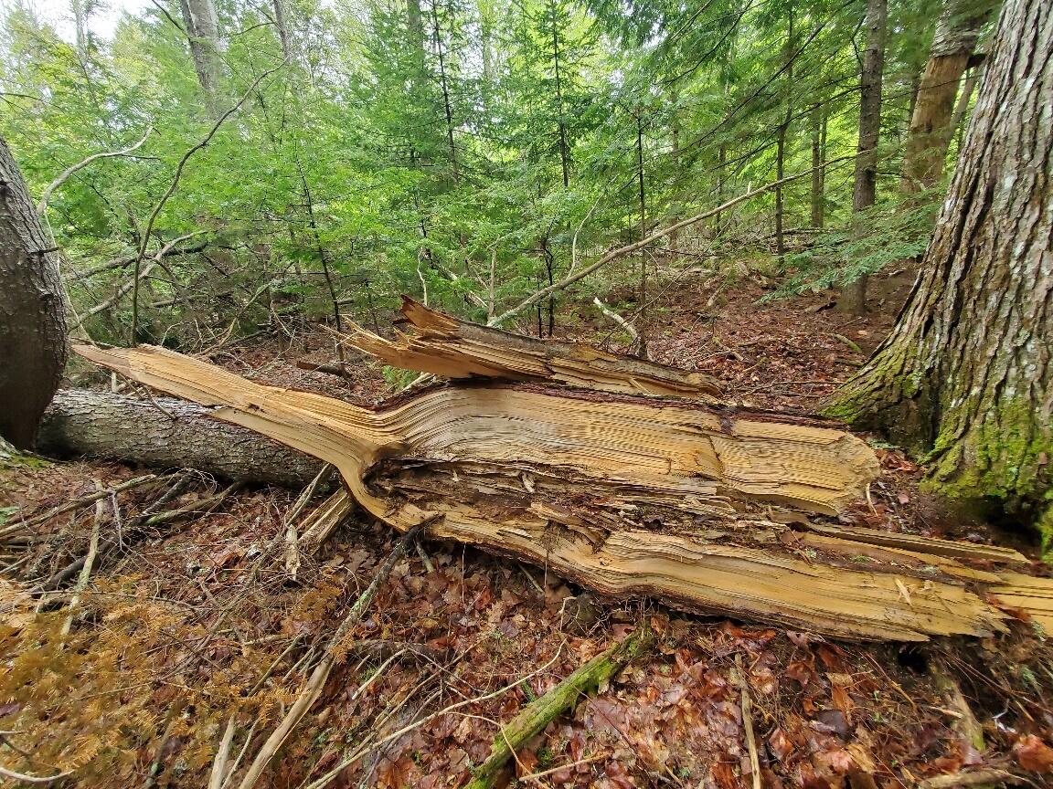 0 Blackcat Point Drive Princeton ME 04668