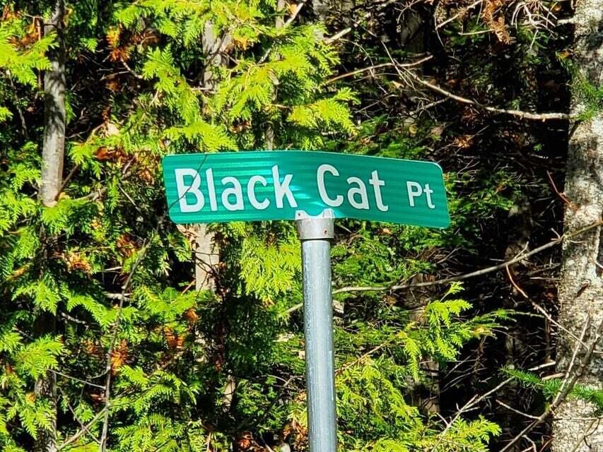 0 Blackcat Pt Drive Princeton ME 04668