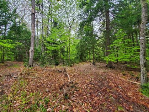 0 Blackcat Point Drive Princeton ME 04668