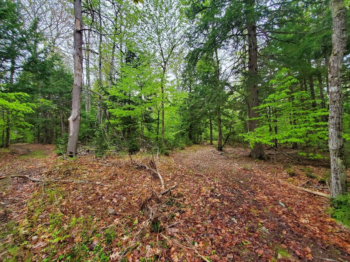 0 Blackcat Point Drive Princeton ME 04668