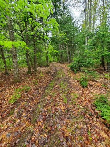 0 Blackcat Point Drive Princeton ME 04668