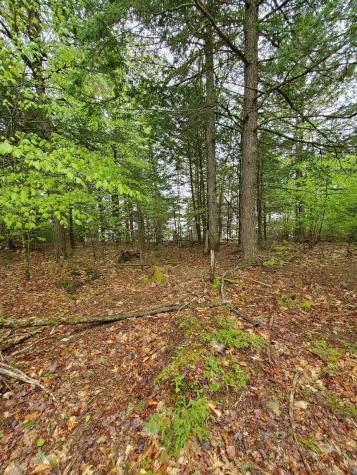 0 Blackcat Point Drive Princeton ME 04668