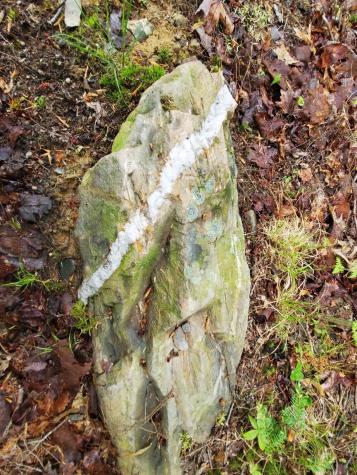 0 Blackcat Point Drive Princeton ME 04668