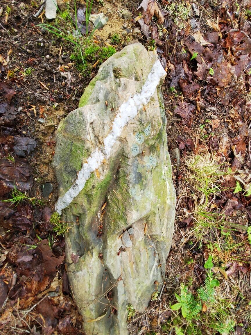 0 Blackcat Point Drive Princeton ME 04668