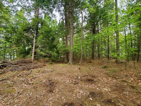 0 Blackcat Point Drive Princeton ME 04668