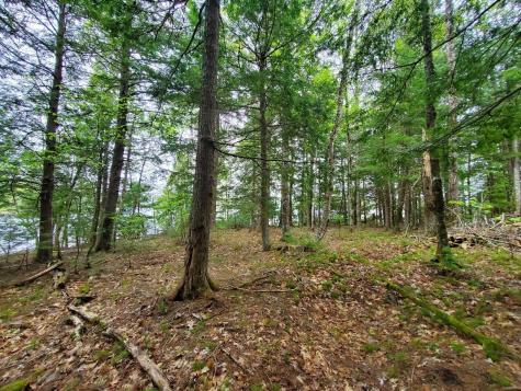 0 Blackcat Point Drive Princeton ME 04668