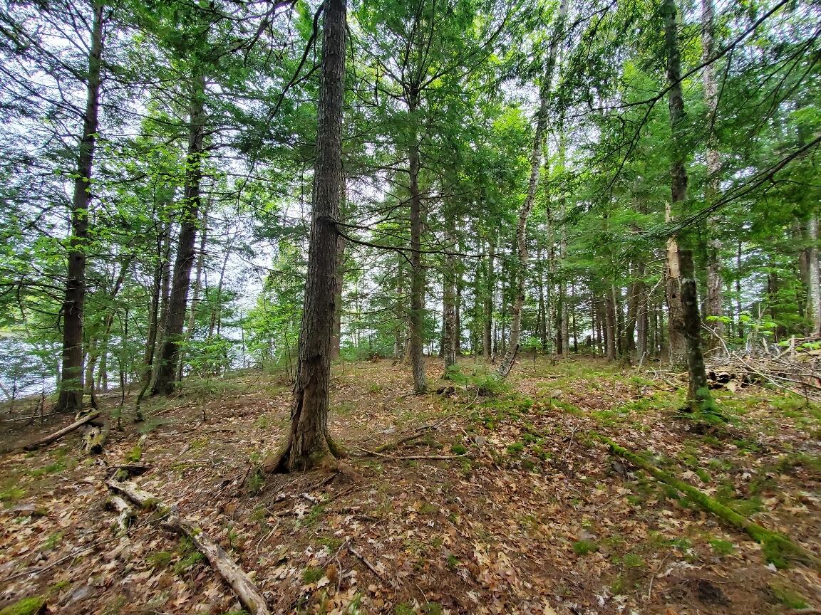 0 Blackcat Point Drive Princeton ME 04668