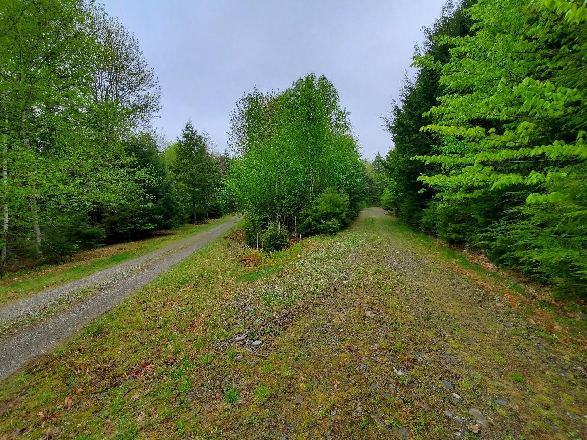 0 Blackcat Point Drive Princeton ME 04668