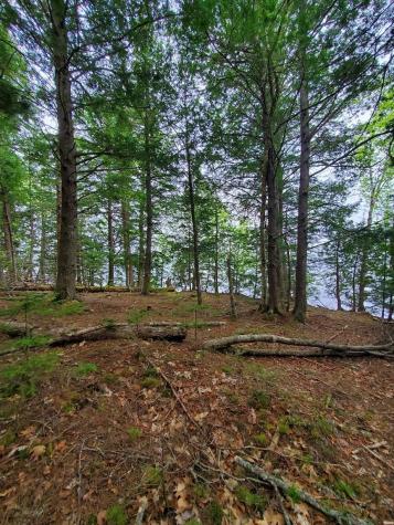 0 Blackcat Point Drive Princeton ME 04668