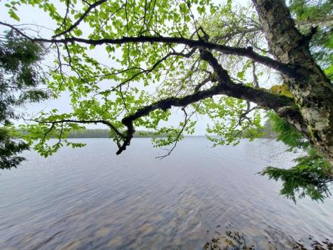 0 Blackcat Point Drive Princeton ME 04668