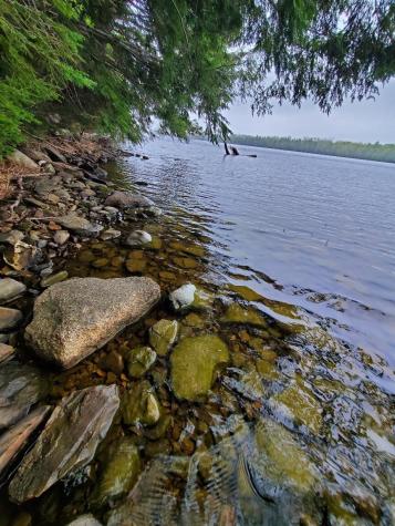 0 Blackcat Point Drive Princeton ME 04668