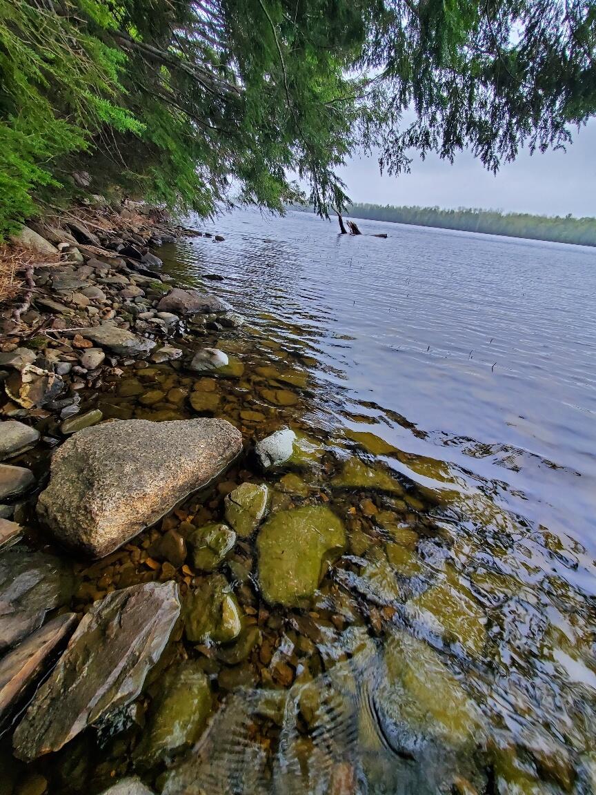 0 Blackcat Point Drive Princeton ME 04668