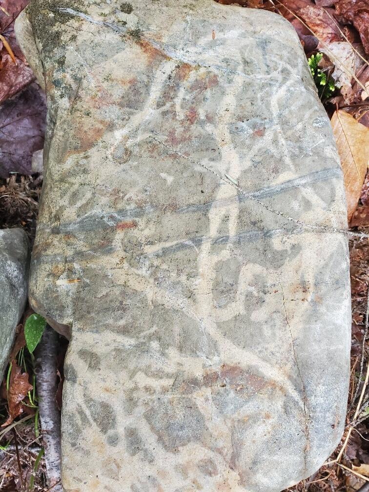 0 Blackcat Point Drive Princeton ME 04668