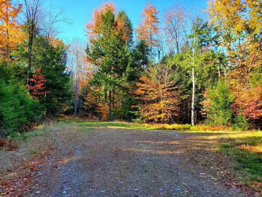 0 Blackcat Point Drive Princeton ME 04668