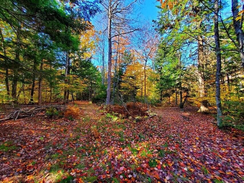 0 Blackcat Point Drive Princeton ME 04668