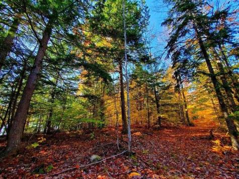 0 Blackcat Point Drive Princeton ME 04668