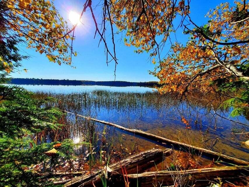 0 Blackcat Point Drive Princeton ME 04668