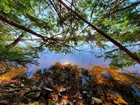 0 Blackcat Point Drive Princeton ME 04668