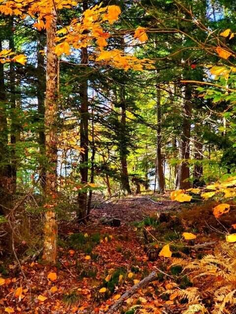 0 Blackcat Point Drive Princeton ME 04668