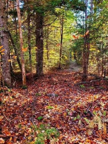 0 Blackcat Point Drive Princeton ME 04668