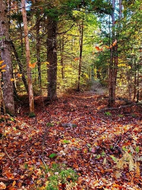 0 Blackcat Point Drive Princeton ME 04668