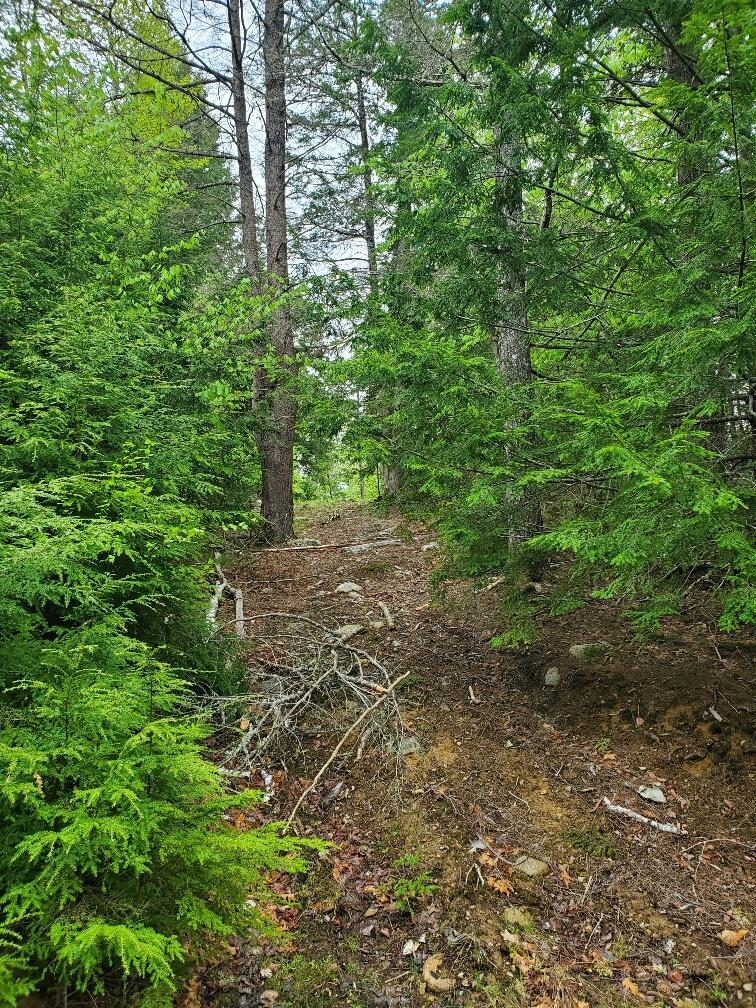 0 Blackcat Point Drive Princeton ME 04668