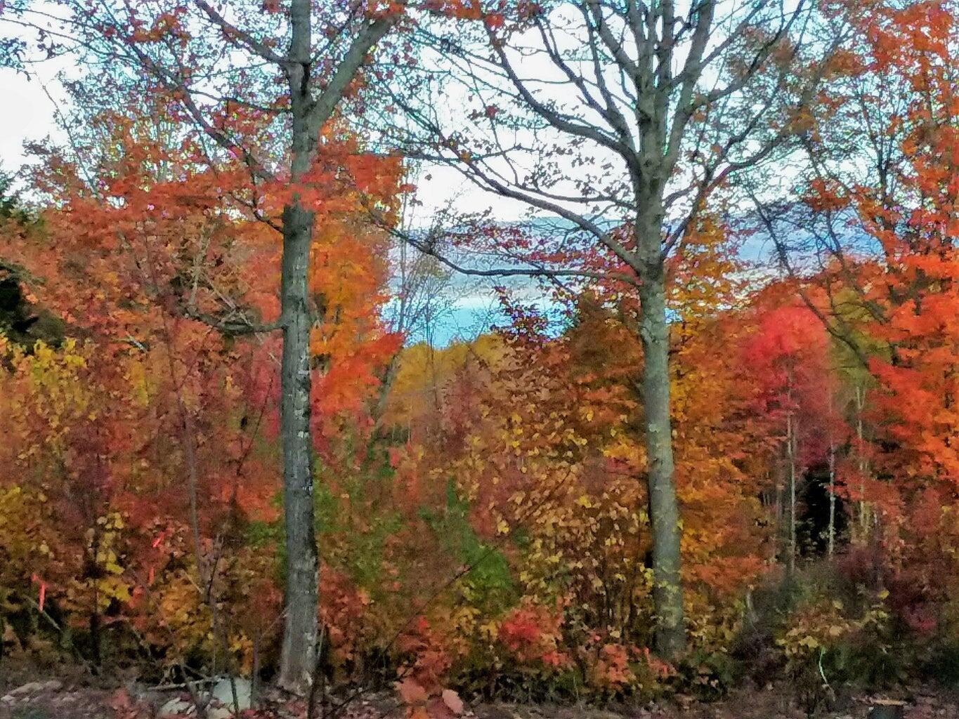 Lot 24-1 Route 17 Rangeley Plt ME 04970