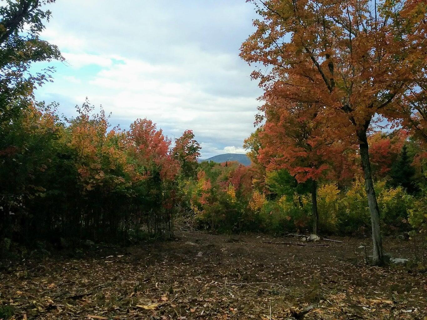 Lot 24-1 Route 17 Rangeley Plt ME 04970