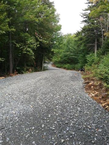 Lot 24-1 Route 17 Rangeley Plt ME 04970