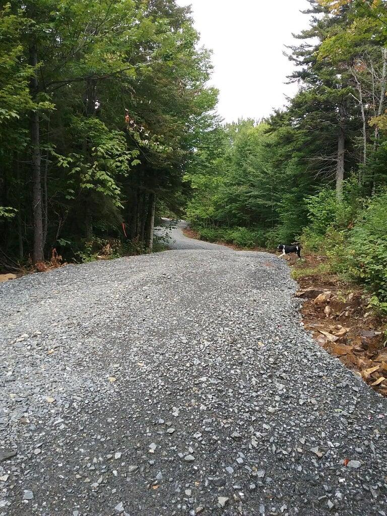 Lot 24-1 Route 17 Rangeley Plt ME 04970