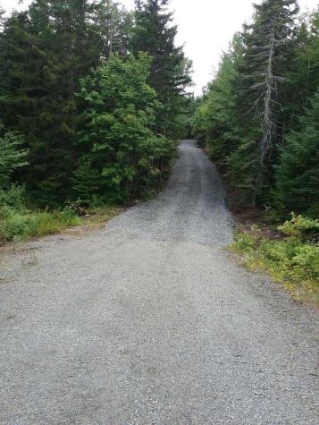 Lot 24-1 Route 17 Rangeley Plt ME 04970