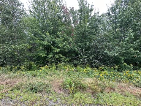 4 Addie Road Ellsworth ME 04605