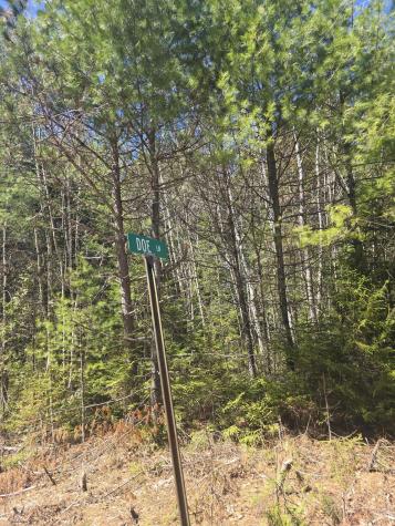 Lot 5 Spruce Mountain Lake Road Beddington ME 04622