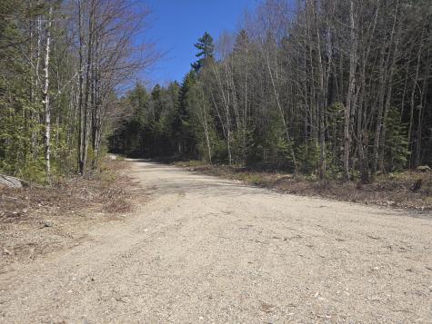 Lot 5 Spruce Mountain Lake Road Beddington ME 04622
