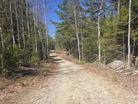 Lot 5 Spruce Mountain Lake Road Beddington ME 04622