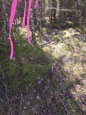 Lot 5 Spruce Mountain Lake Road Beddington ME 04622