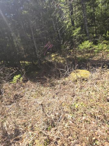 Lot 5 Spruce Mountain Lake Road Beddington ME 04622