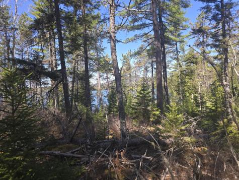 Lot 5 Spruce Mountain Lake Road Beddington ME 04622
