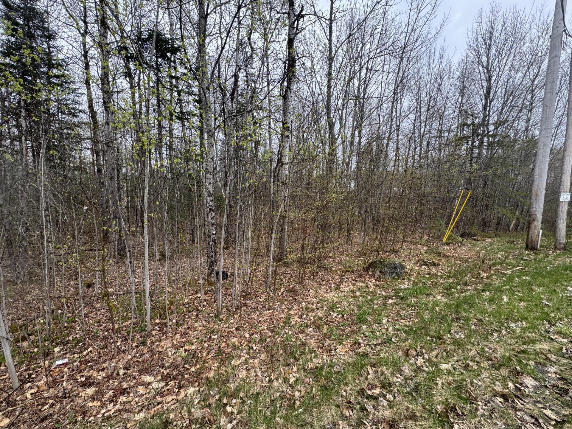 Lot 23 N Dixmont Road Troy ME 04987