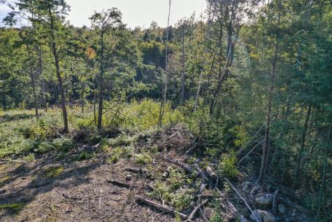 Lot 37 Wedge Heights Road Orland ME 04472