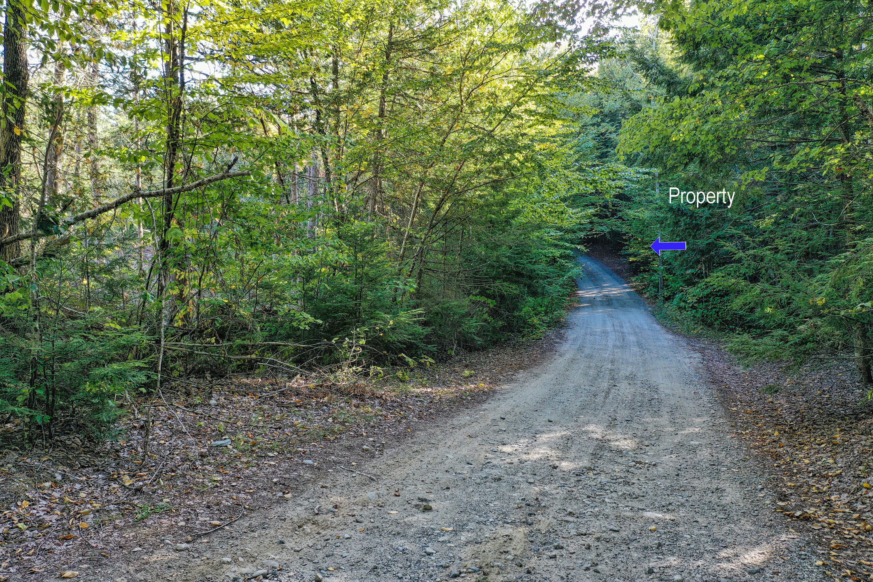 Lot 37 Wedge Heights Road Orland ME 04472