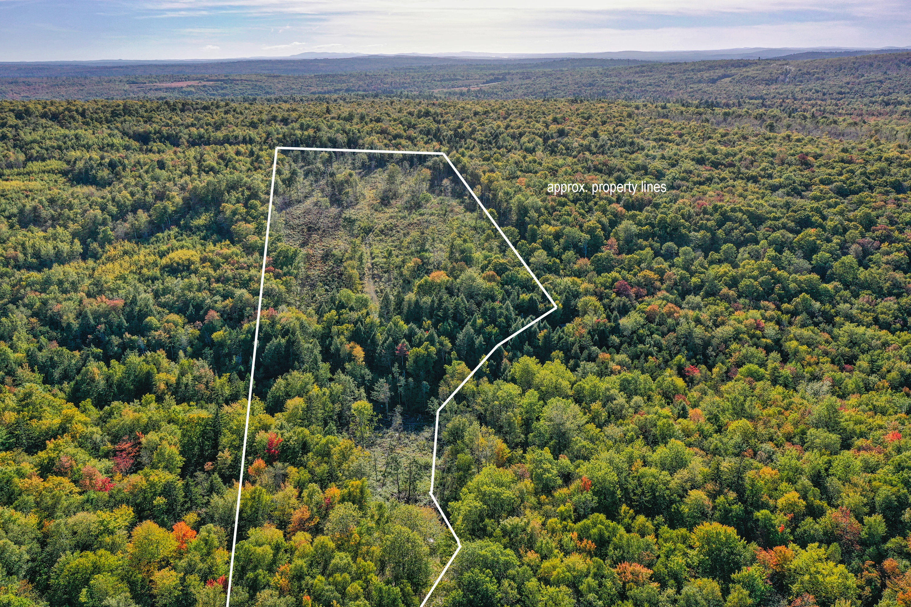 Lot 37 Wedge Heights Road Orland ME 04472