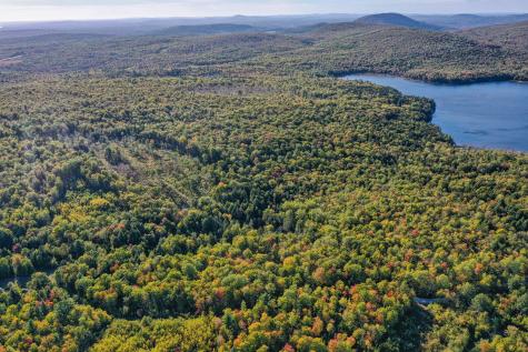 Lot 37 Wedge Heights Road Orland ME 04472