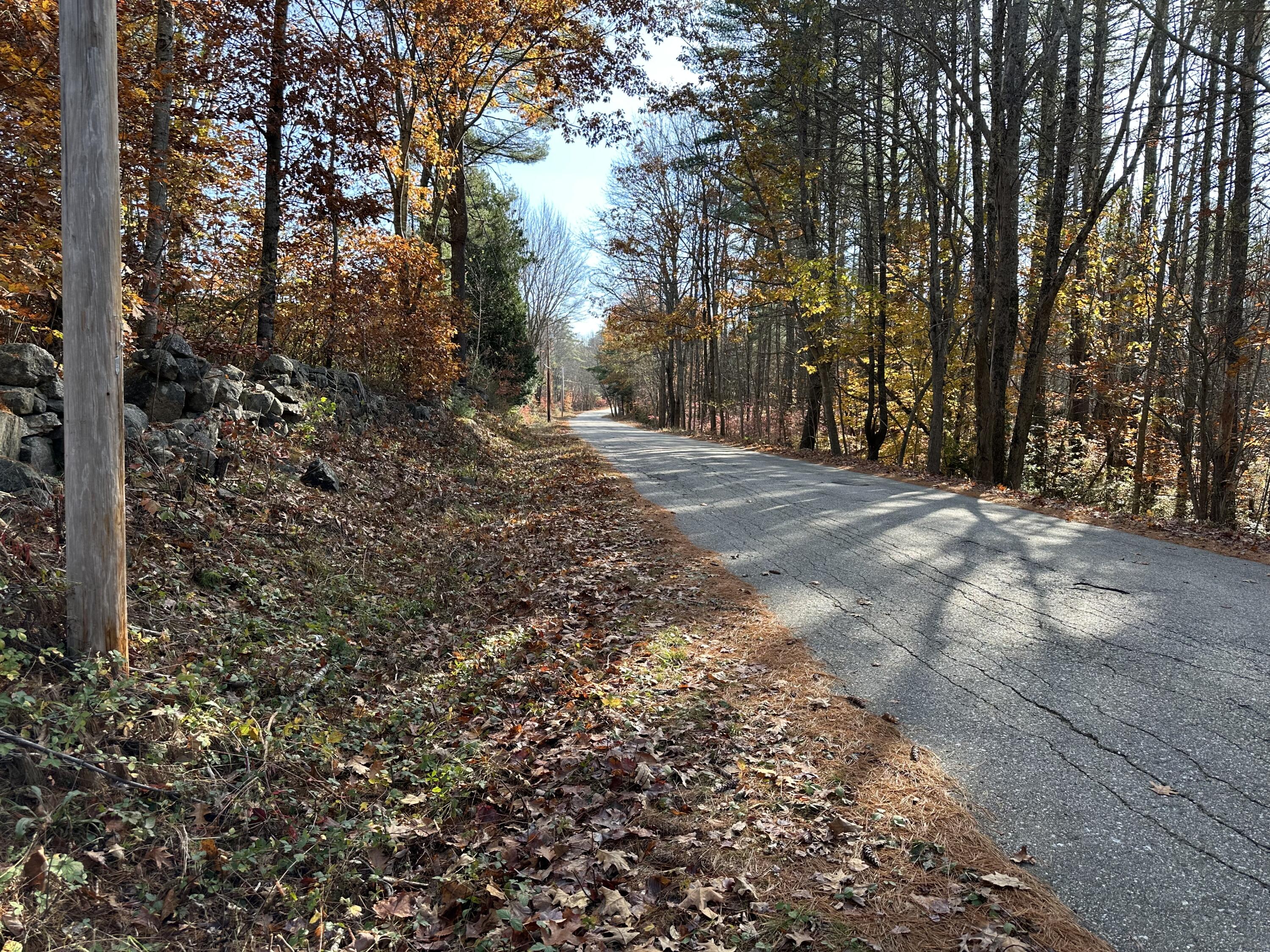 R19-54E Mountain Road Parsonsfield ME 04047