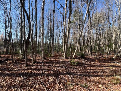 Map 11 Lot 14 Goodwin Road Garland ME 04939