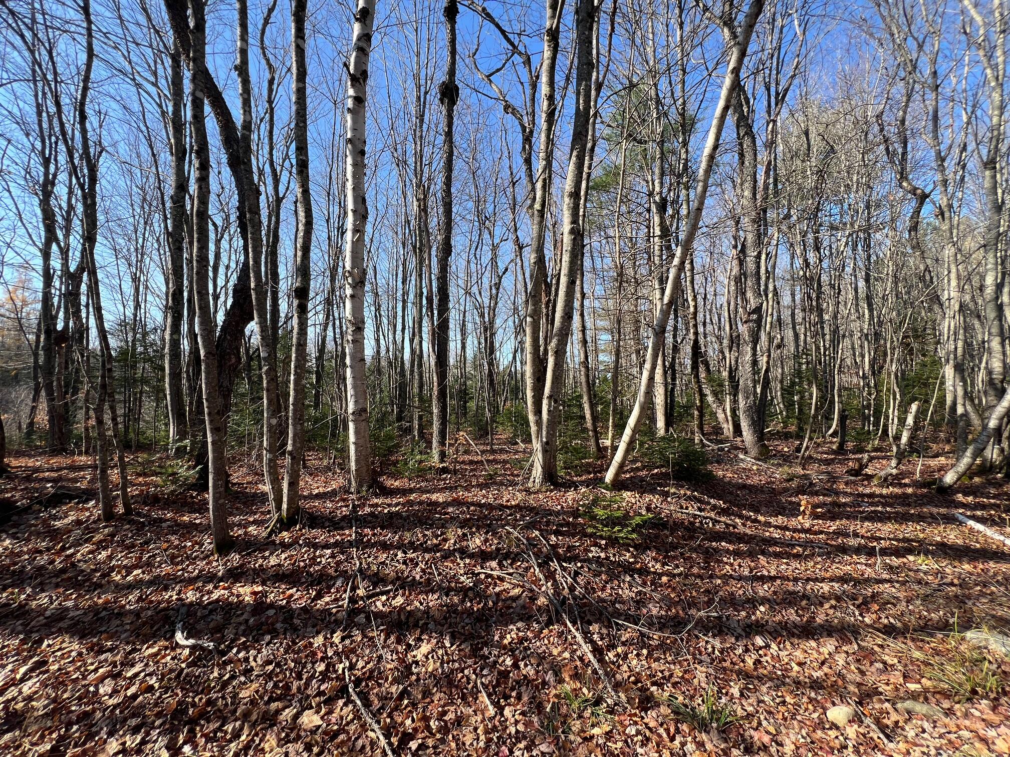 Map 11 Lot 14 Goodwin Road Garland ME 04939