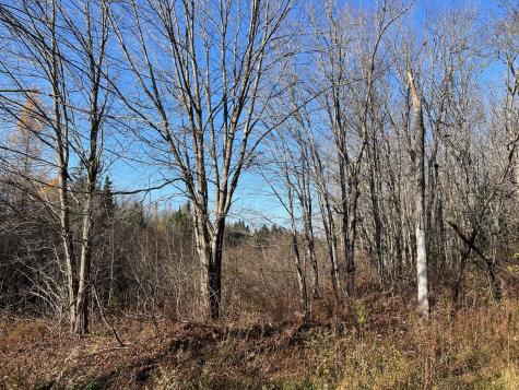 Map 11 Lot 14 Goodwin Road Garland ME 04939